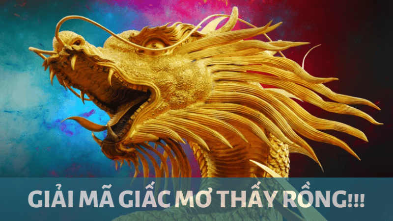 Mơ Gặp Con Rồng - Bí Ẩn Phía Sau Giấc Mơ Phồn Thể và Ý Nghĩa Sâu Xa Trong Văn Hóa Việt Nam
